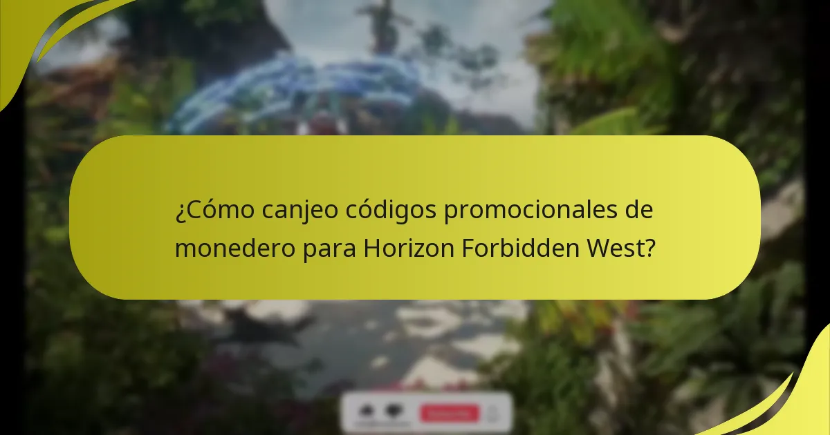 ¿Quién es elegible para canjear códigos promocionales de monedero?